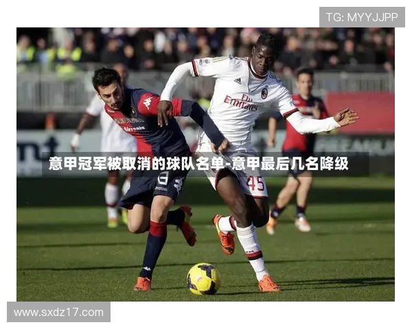 意甲联赛参赛球队数量及赛制全面介绍