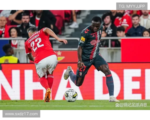 葡超球队在欧冠的表现