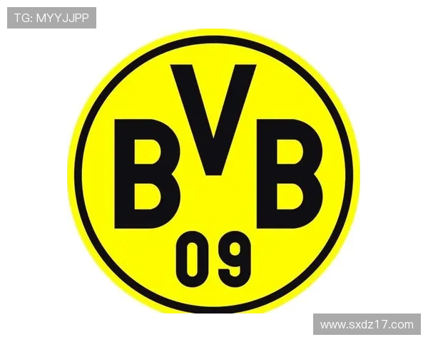 那些来自德国小镇的德甲球队故事