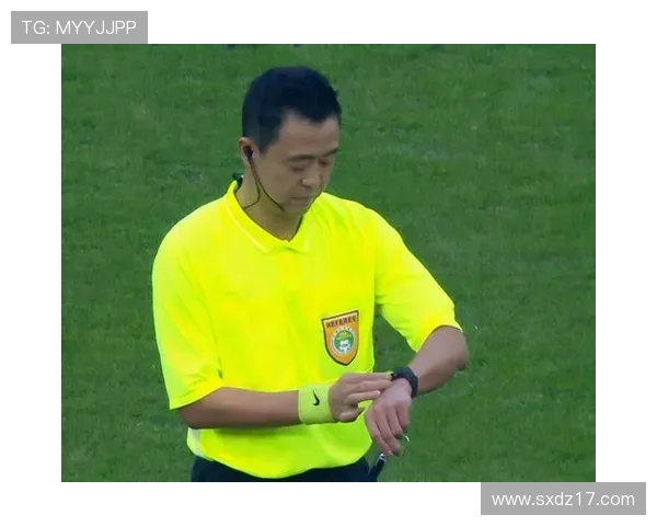 青少年足球裁判培养计划中CBA教练核心作用及其影响力分析 青少年足球裁判培养计划中CBA教练核心作用及其影响力分析