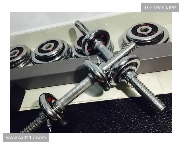 静音马达技术如何革新家庭健身房 静音马达技术如何革新家庭健身房